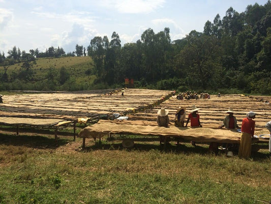 NANO CHALLA / ETHIOPIA 200g