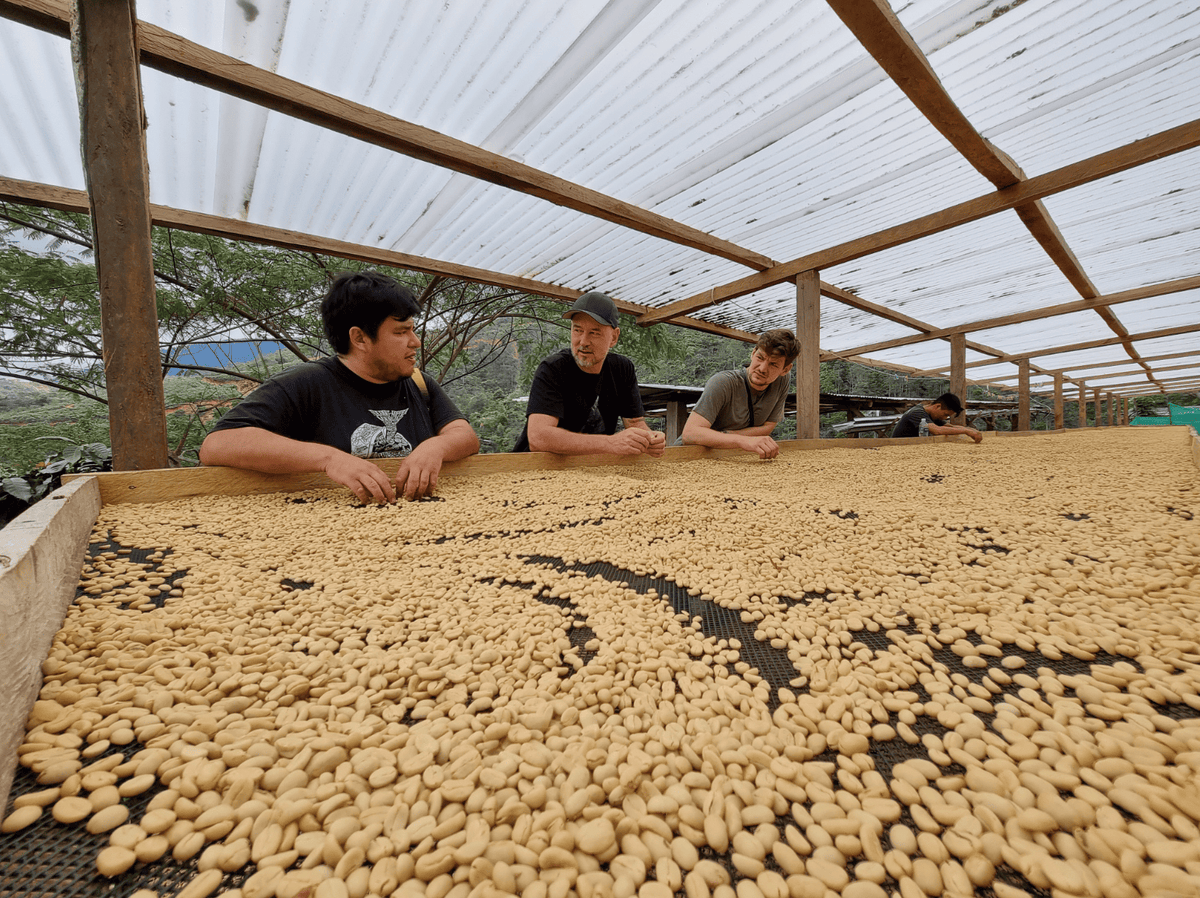 <new> LAS MISHAS ESPRESSO / PERU 200g</new>