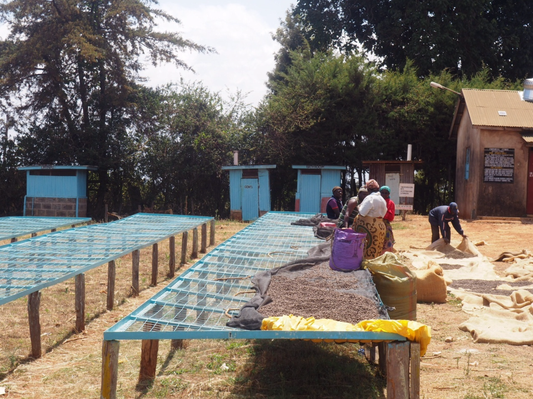 NDARO-INI / KENYA 200g