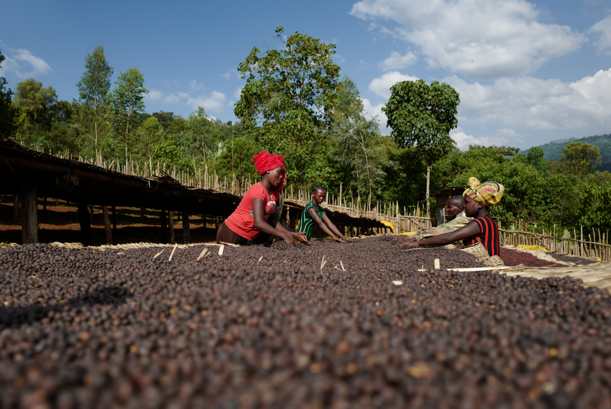 BANKO GOTITI / ETHIOPIA 200g