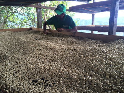(準備中) ANIBAL RODRIGUEZ / COLOMBIA 200g