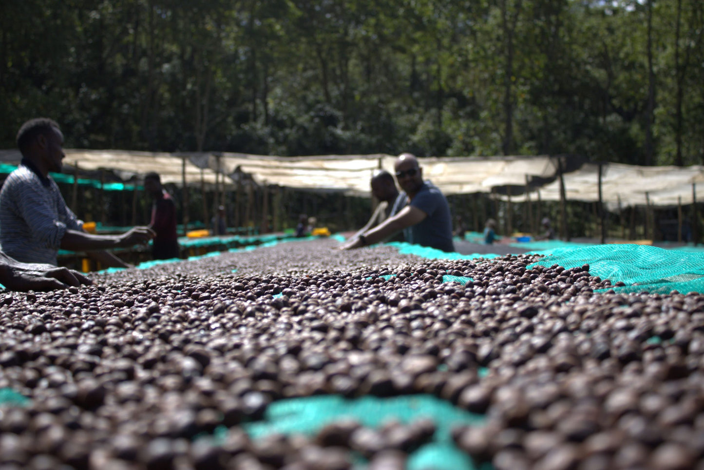GORO BEDESSA NATURAL / ETHIOPIA 200g