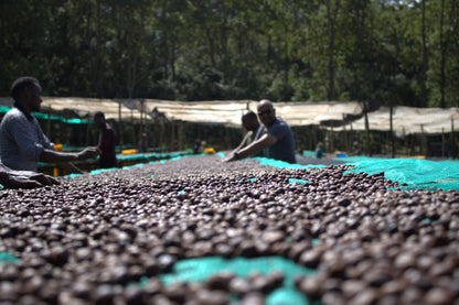 GORO BEDESSA NATURAL / ETHIOPIA 200g