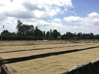 <NEW> KARIMIKUI / KENYA 200g