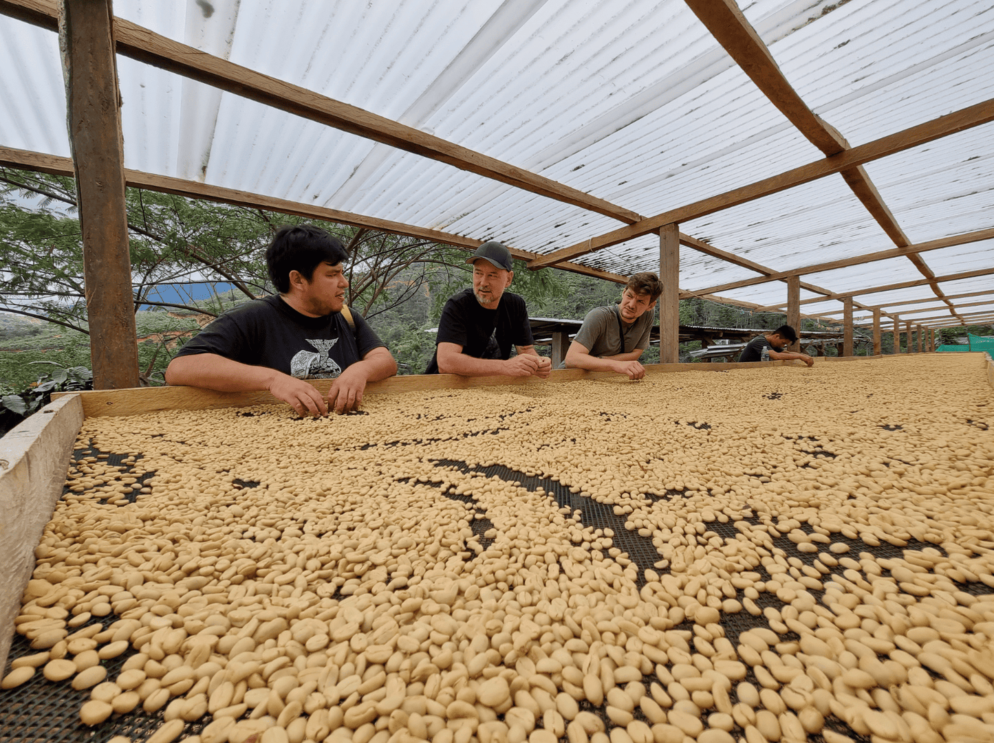 <NEW> LAS MISHAS ESPRESSO / PERU 200g