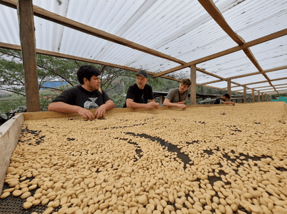 <NEW> LAS MISHAS ESPRESSO / PERU 200g