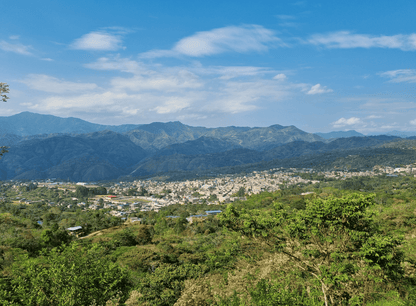 <NEW> LAS MISHAS ESPRESSO / PERU 200g