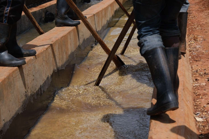 NDARO-INI / KENYA 200g